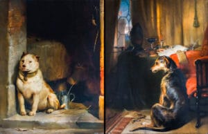 Low Life and High Life: Dogs’ Fortune
