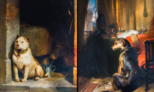 Low Life and High Life: Dogs’ Fortune