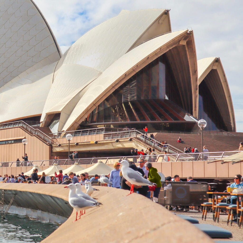 17 Sydney Opera House B