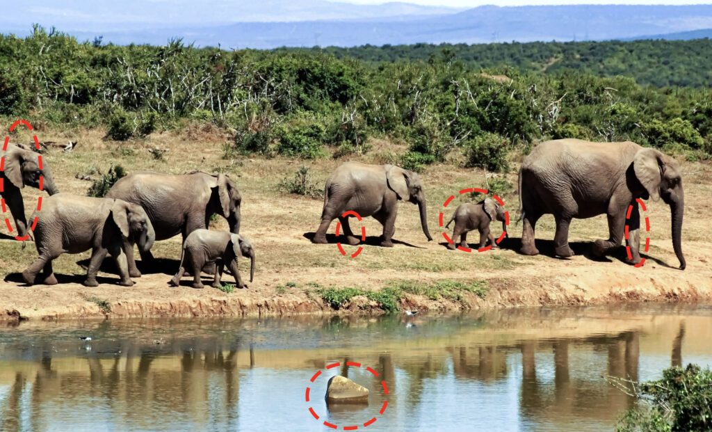 7 Kruger National Park S