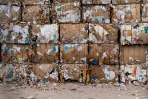 From Puzzles to Pulp: The Waste of Printed Activity and Puzzle Books