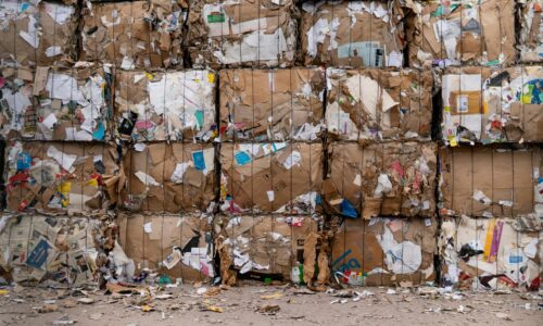 From Puzzles to Pulp: The Waste of Printed Activity and Puzzle Books