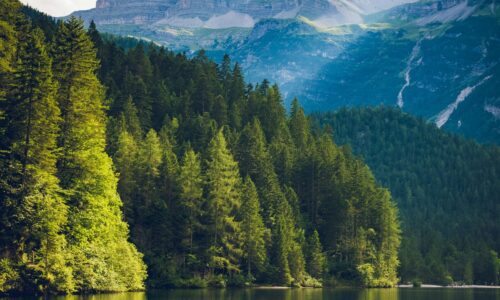 The Environmental Impact of Puzzle Books: Digital vs. Print
